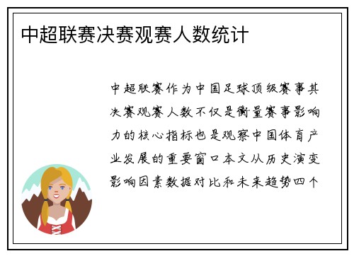 中超联赛决赛观赛人数统计