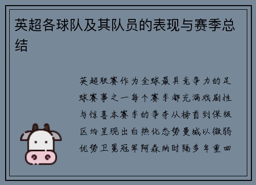 英超各球队及其队员的表现与赛季总结